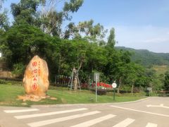 -田心森林公园