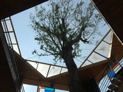 -武清南湖绿博园