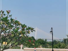 -芒洲湿地公园