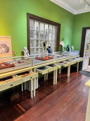 -HeyJewel全球独立设计师原创首饰集合店