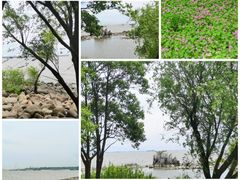 -上海吴淞炮台湾国家湿地公园