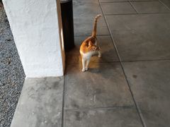 -喜洲吧·江畔老船厂·庭院餐厅(喜临院店)