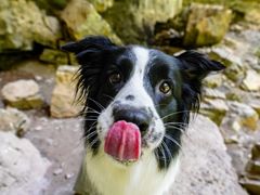 -云岫谷游猎自然风景区