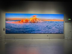 -罗红摄影艺术馆