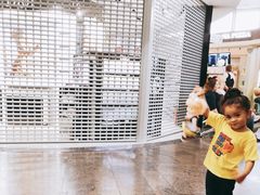 -谢列梅捷沃国际机场