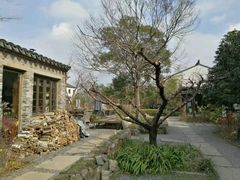 -田园东方蜜桃村的田野营地