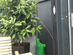 -JF Garden(渔人码头店)