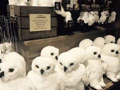 -九又四分之三站台