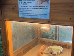 -上海大自然野生昆虫馆(东方明珠·爬宠昆虫探索中心)