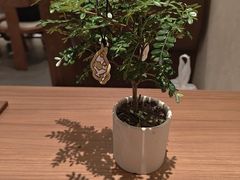 -CURRY YA 熟成咖哩專門店(深圳湾万象城店)