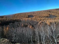 -塞罕坝国家级自然保护区