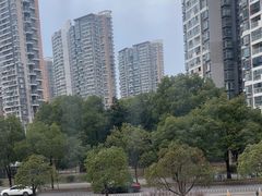 -大拙里·精致融合菜(沙湖桃源国际店)