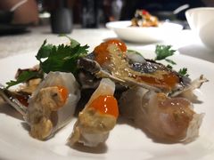 -贴阁碧(百丈东路店)