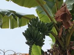 -云溪植物园