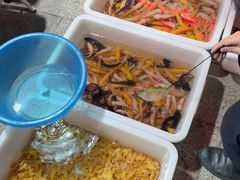 -中环花鸟鱼虫市场