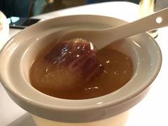 琥珀冬瓜-西郊5号·Maggie 5