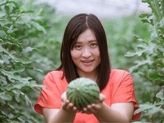 -庞各庄翠芳园西瓜蔬菜基地采摘园
