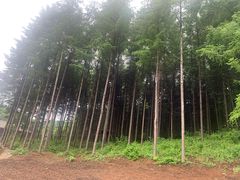 -萨尔浒风景区