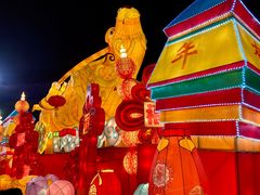 -武汉园博园(武汉自然博物馆)