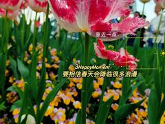 -外滩
