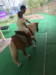 -萌宠亲子动物乐园(槐房万达店)