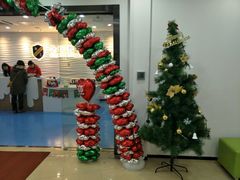 -金砾教育培训(宝山校区)