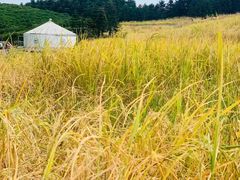 -迪茵湖田家舍生态农场