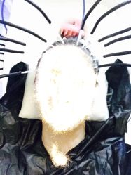 -再出发防脱发白发理疗中心