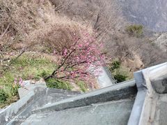 -武当山风景区