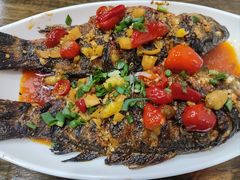 -五娃子烧烤(人民路150号院店)