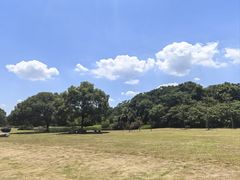 -艾溪湖湿地公园
