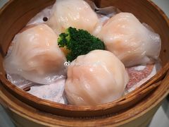 虾饺皇-南枝记