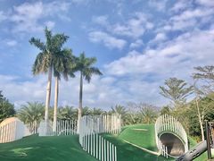 -海花岛旅游度假区