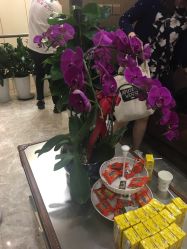 -专业烫发染发接发