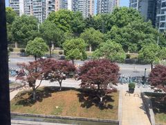-大拙里·精致融合菜(沙湖桃源国际店)