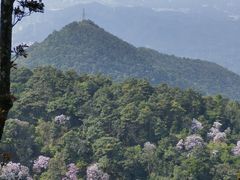 -梧桐山风景名胜区