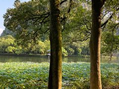 -星湖旅游景区七星岩