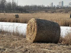 -赛汗塔拉风情园