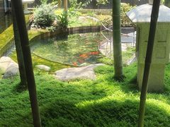 -长禧小馆(沙湾古镇店)