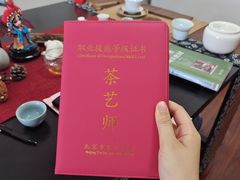 -诗宇时光茶艺书法古琴培训