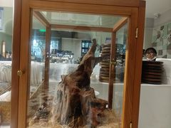 -一尺花园(安和花园店)