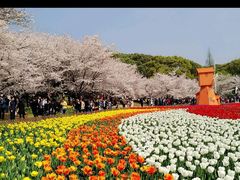 -苏州上方山国家森林公园