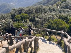 -梧桐山风景名胜区