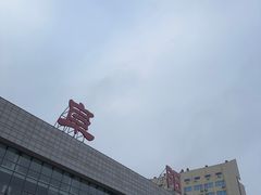 -阜阳站