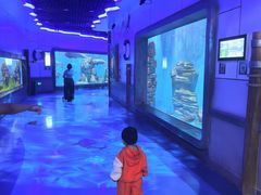 -石家庄极地海洋世界