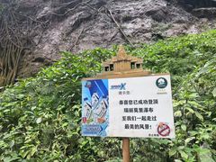 -莫里热带雨林景区