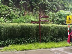 -重庆彩云湖湿地公园