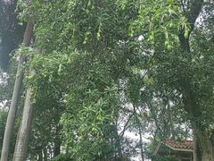 -沔阳会馆(沔街店)