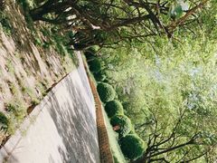 -海棠花溪(元大都城垣遗址公园)