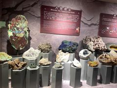 -正佳自然科学博物馆